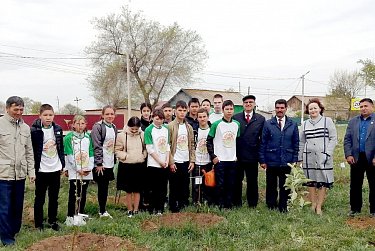 Возле школы будет сад